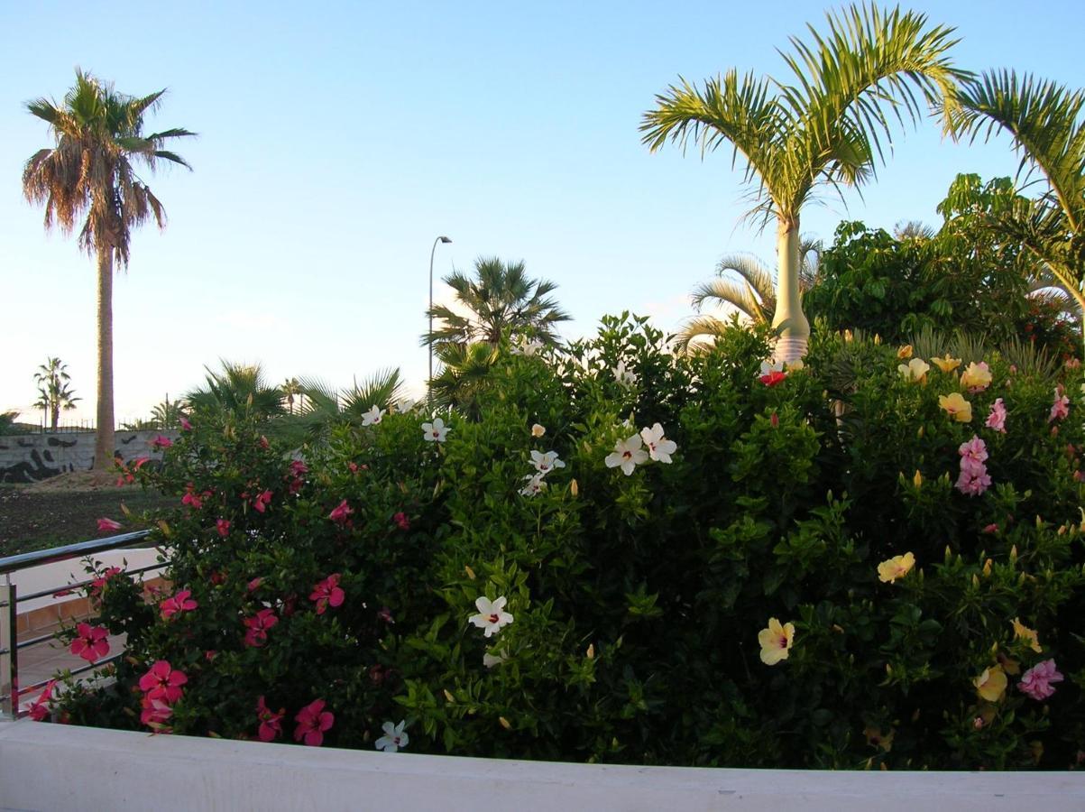 Appartement Parque Don Jose 341