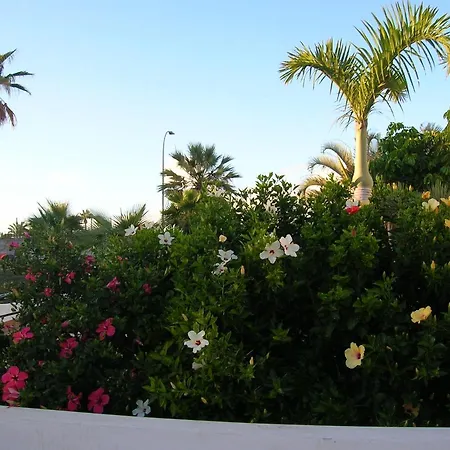 Parque Don Jose 341 Appartement Arona  Buitenkant foto